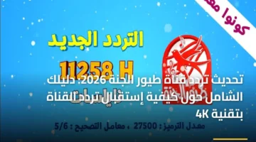 تجربة مشاهدة فائقة.. تردد قناة 4K الجديدة وكيفية ضبطها بجودة عالية